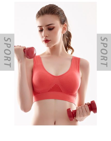 Low net sports bra